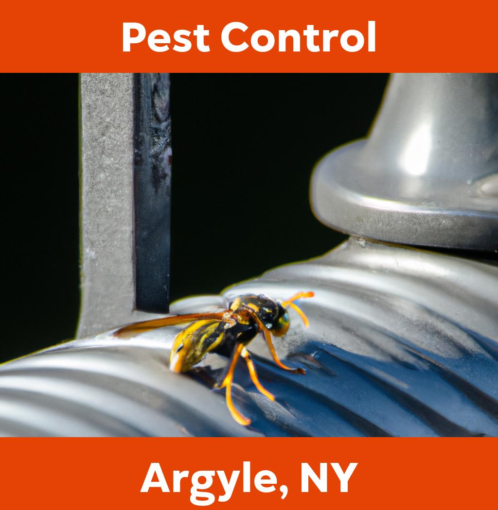 pest control in Argyle New York