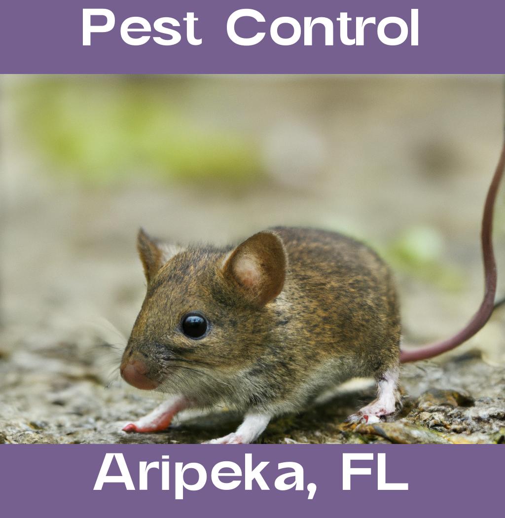 pest control in Aripeka Florida