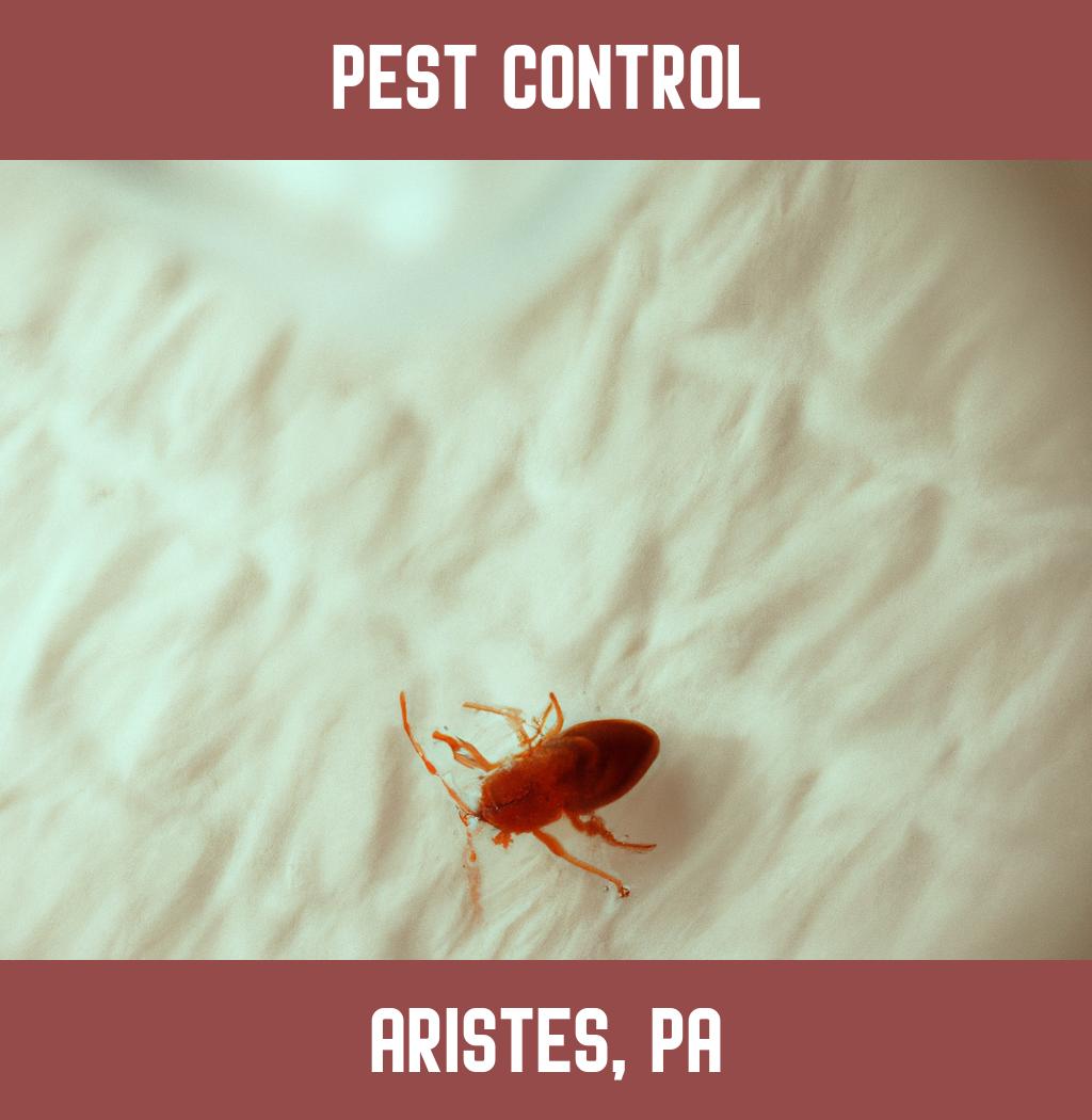 pest control in Aristes Pennsylvania