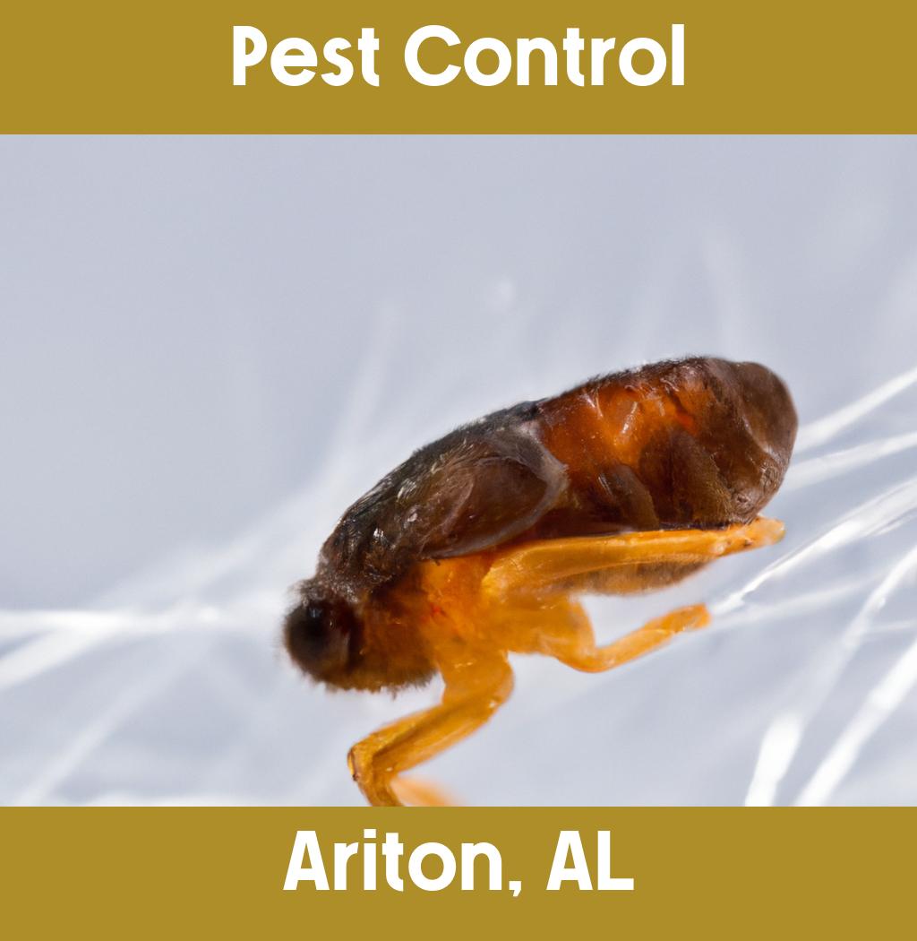 pest control in Ariton Alabama