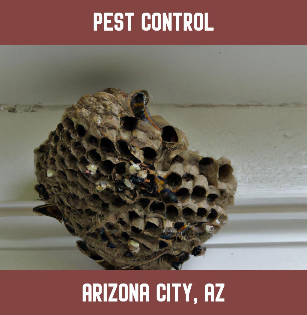 pest control in Arizona City Arizona