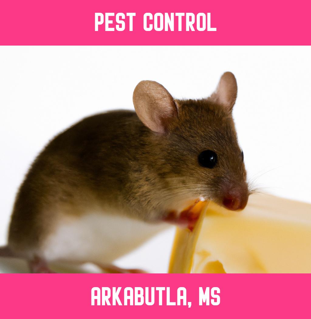 pest control in Arkabutla Mississippi