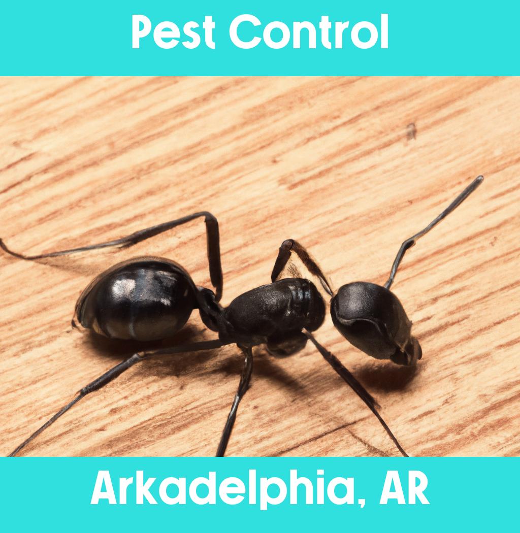 pest control in Arkadelphia Arkansas