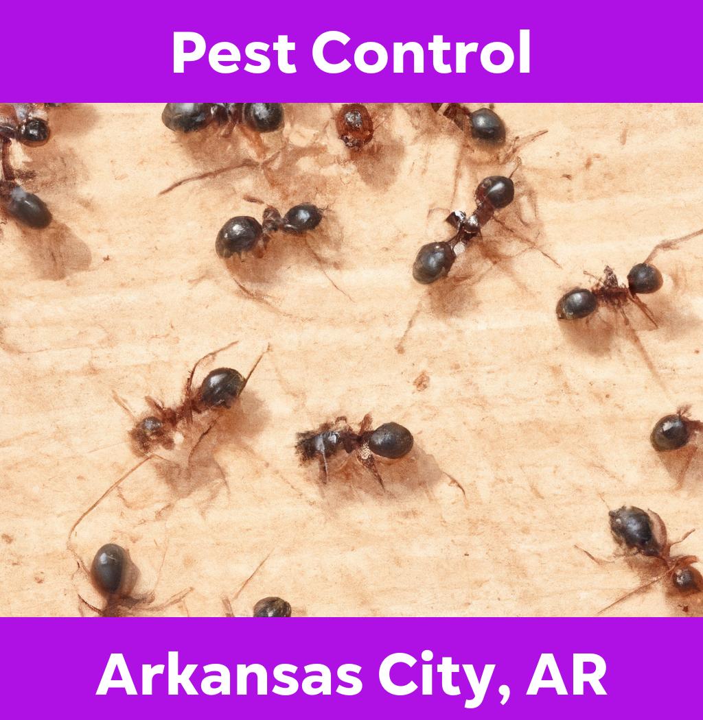 pest control in Arkansas City Arkansas