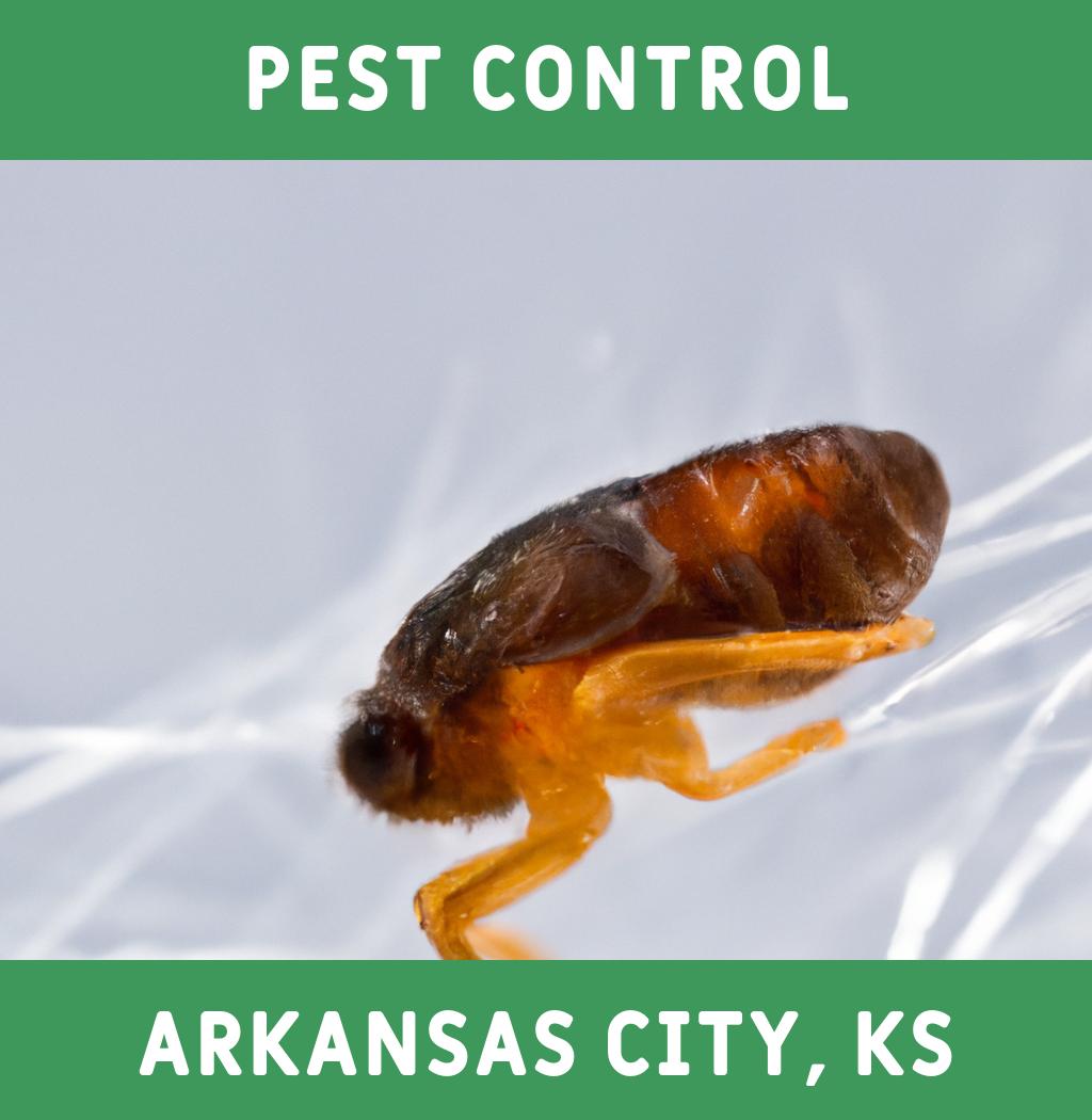 pest control in Arkansas City Kansas