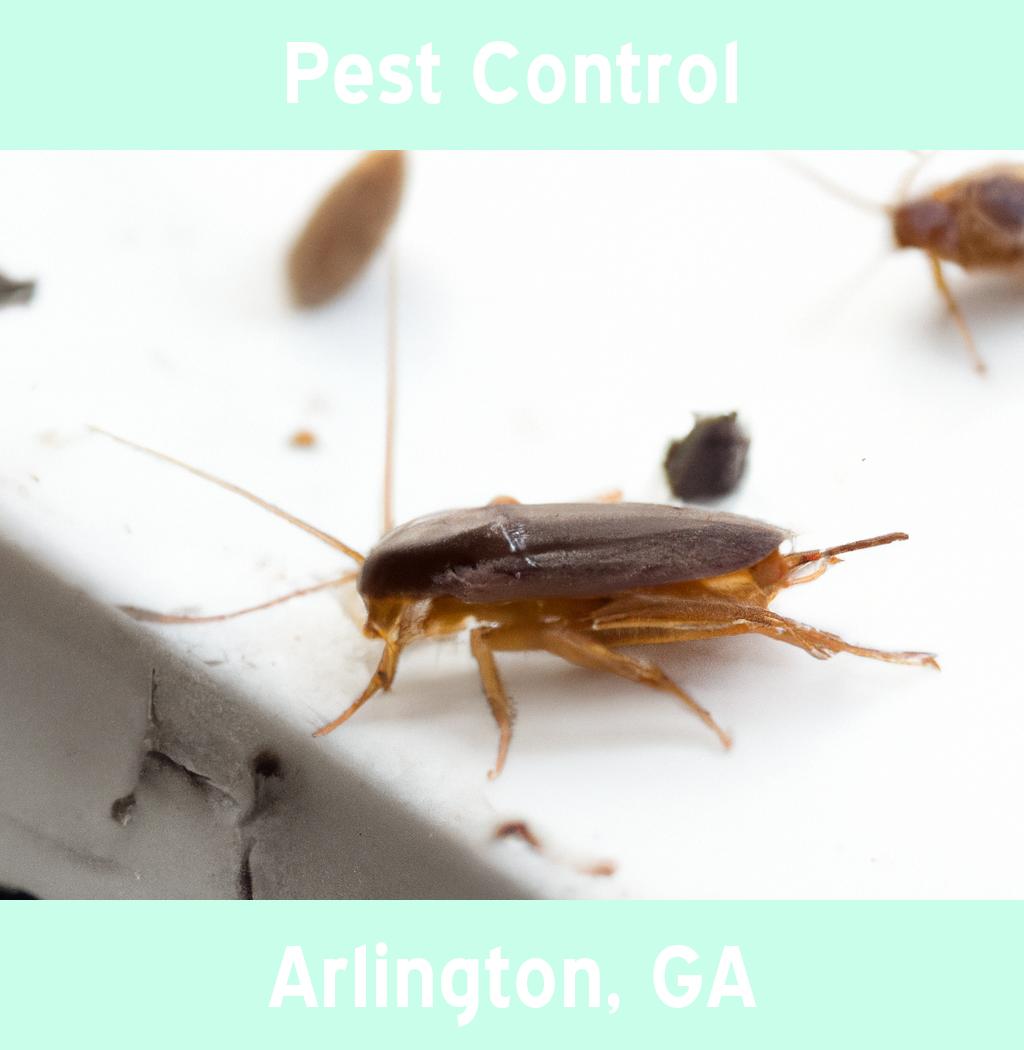 pest control in Arlington Georgia