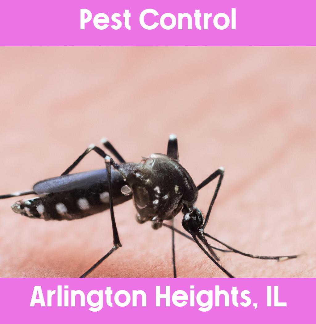 pest control in Arlington Heights Illinois