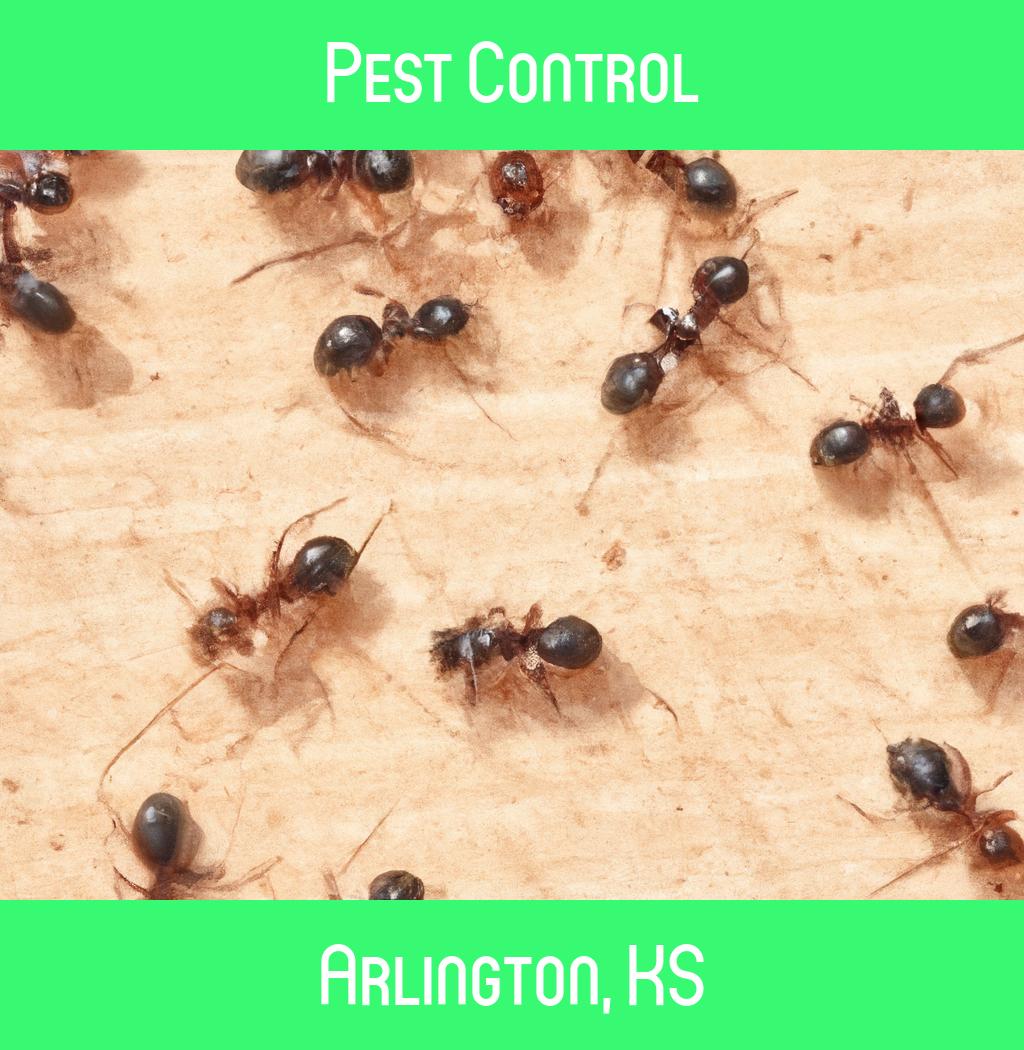 pest control in Arlington Kansas