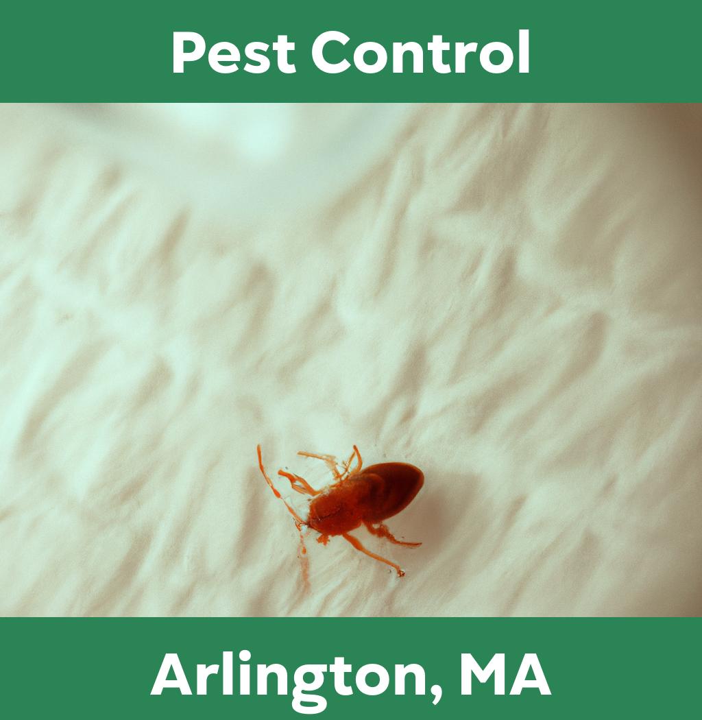 pest control in Arlington Massachusetts