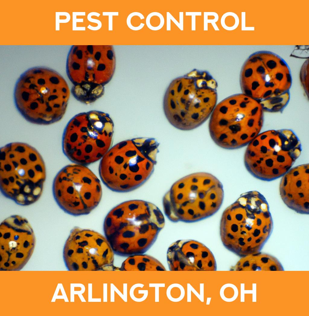 pest control in Arlington Ohio