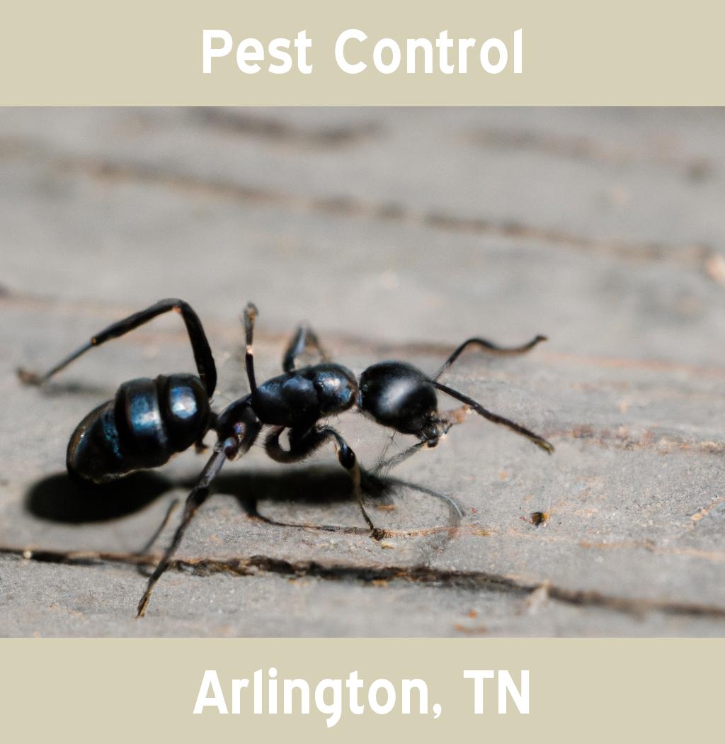 pest control in Arlington Tennessee