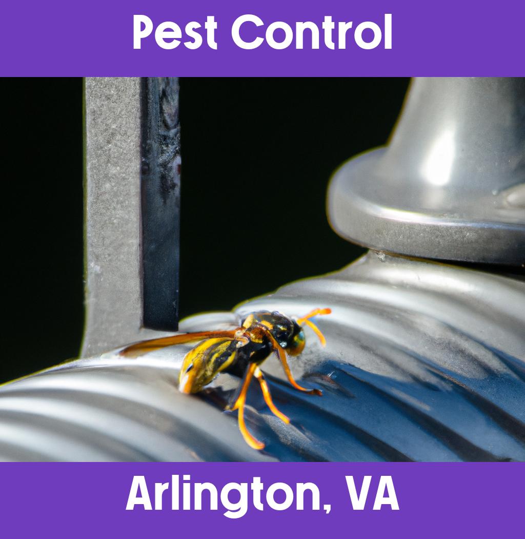 pest control in Arlington Virginia