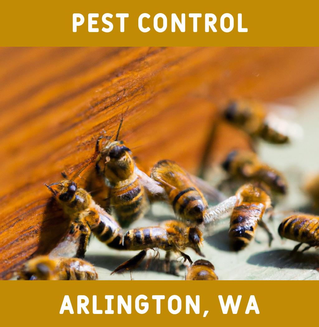 pest control in Arlington Washington