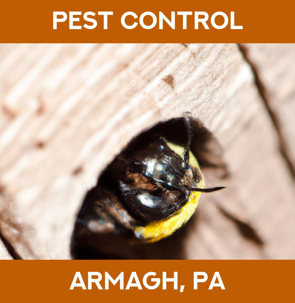 pest control in Armagh Pennsylvania