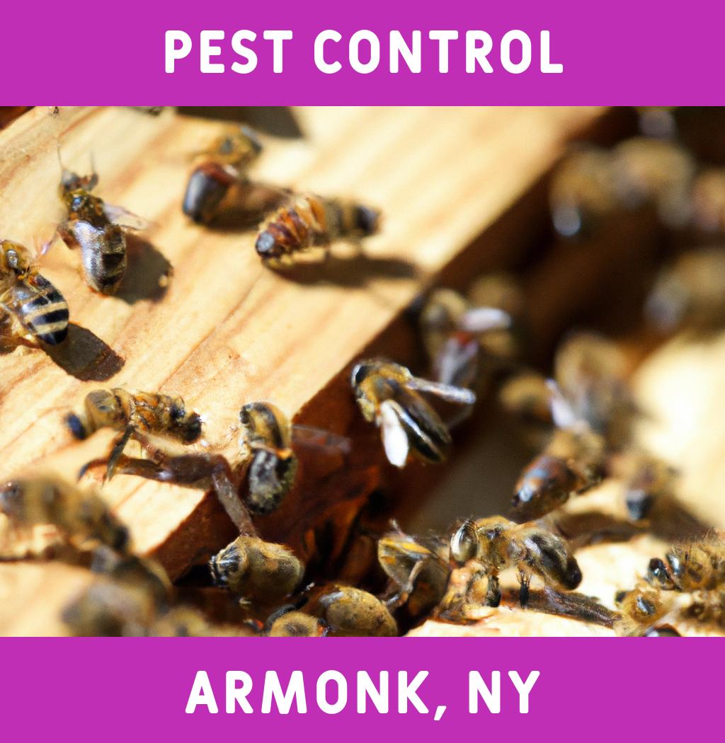 pest control in Armonk New York