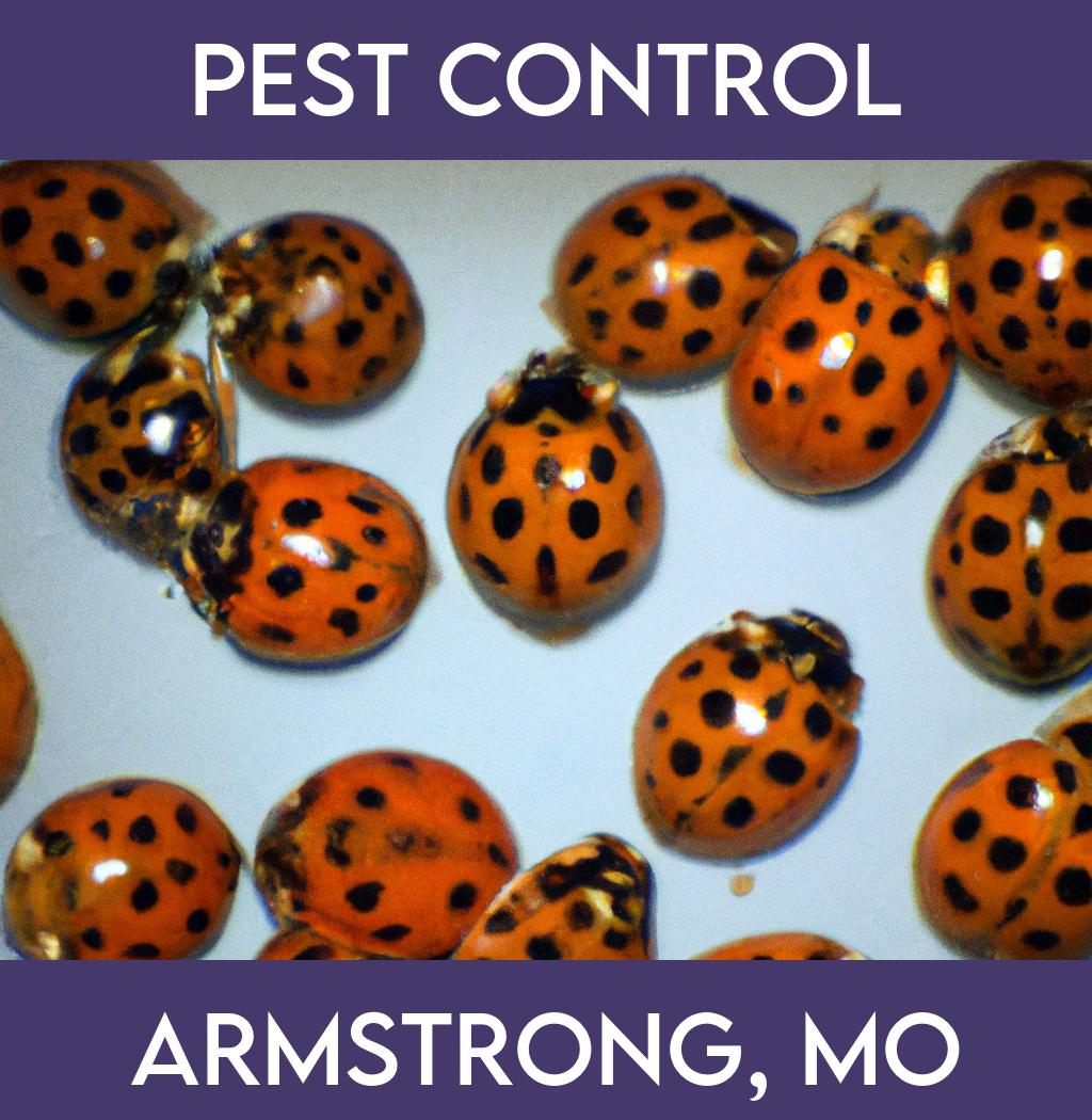 pest control in Armstrong Missouri