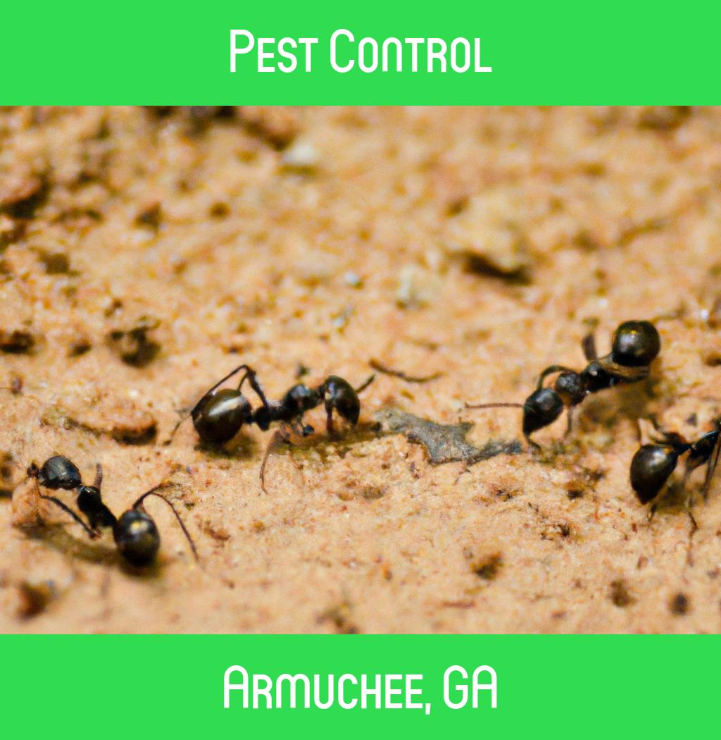 pest control in Armuchee Georgia