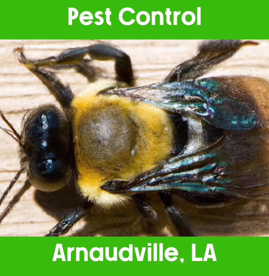 pest control in Arnaudville Louisiana