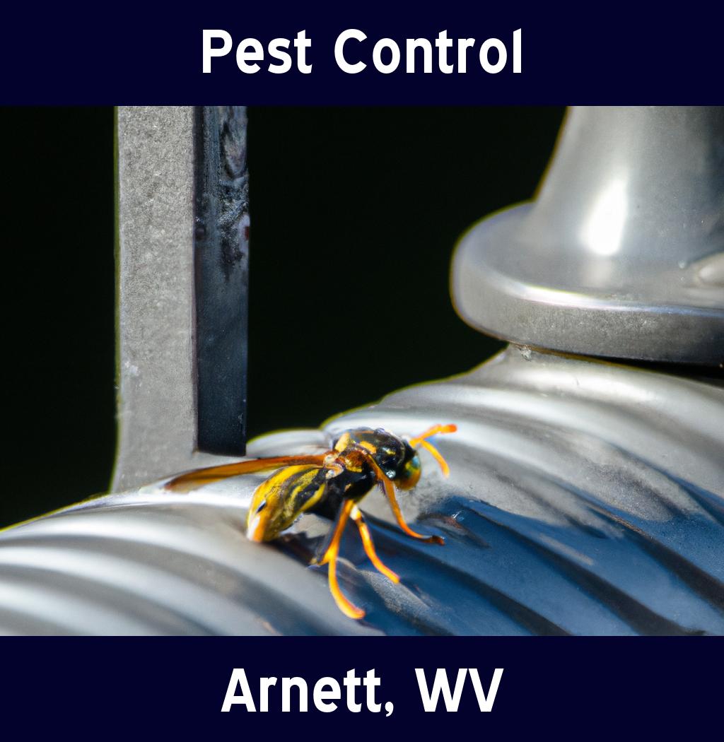 pest control in Arnett West Virginia