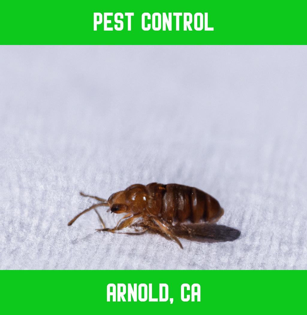 pest control in Arnold California