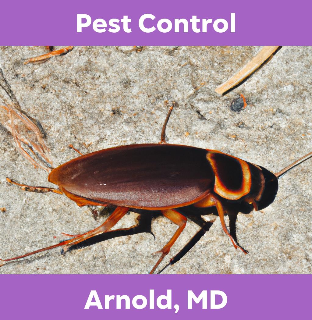 pest control in Arnold Maryland