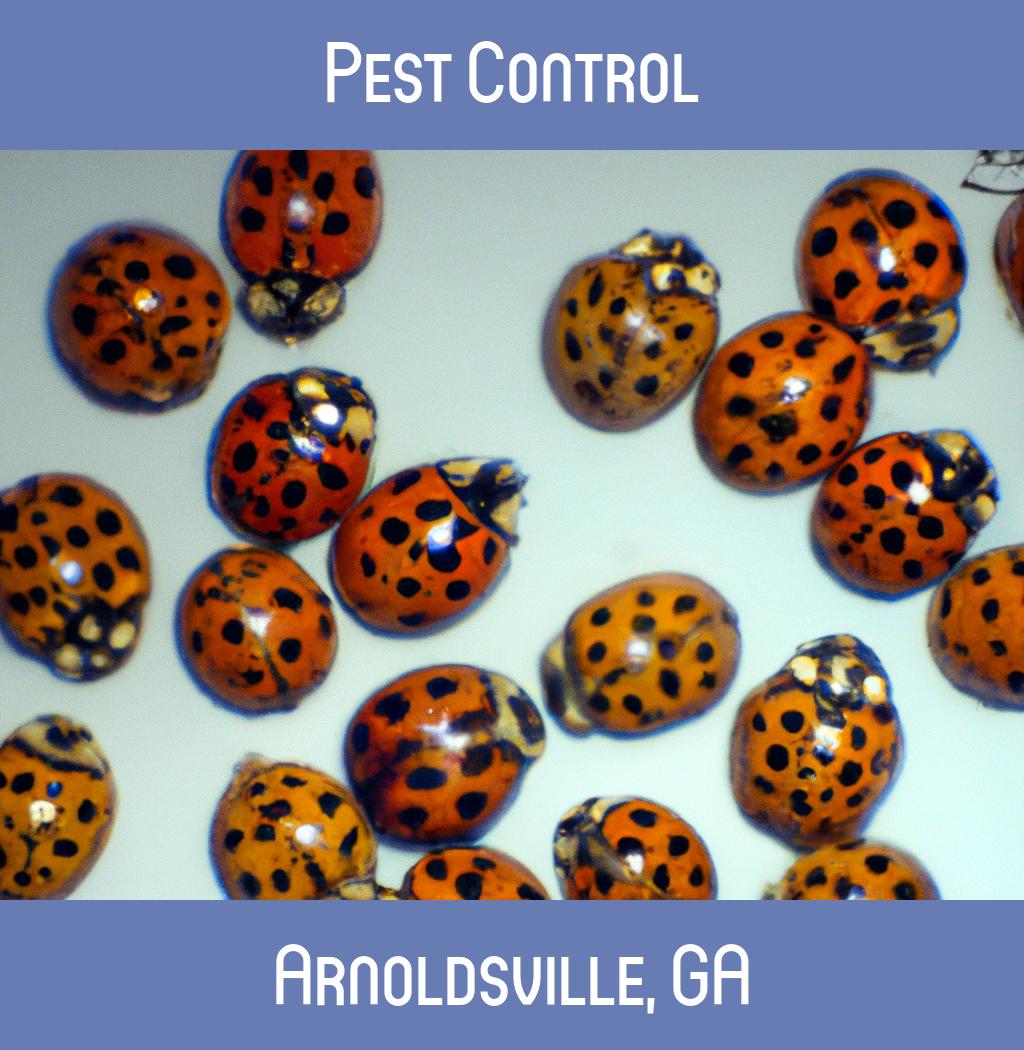 pest control in Arnoldsville Georgia