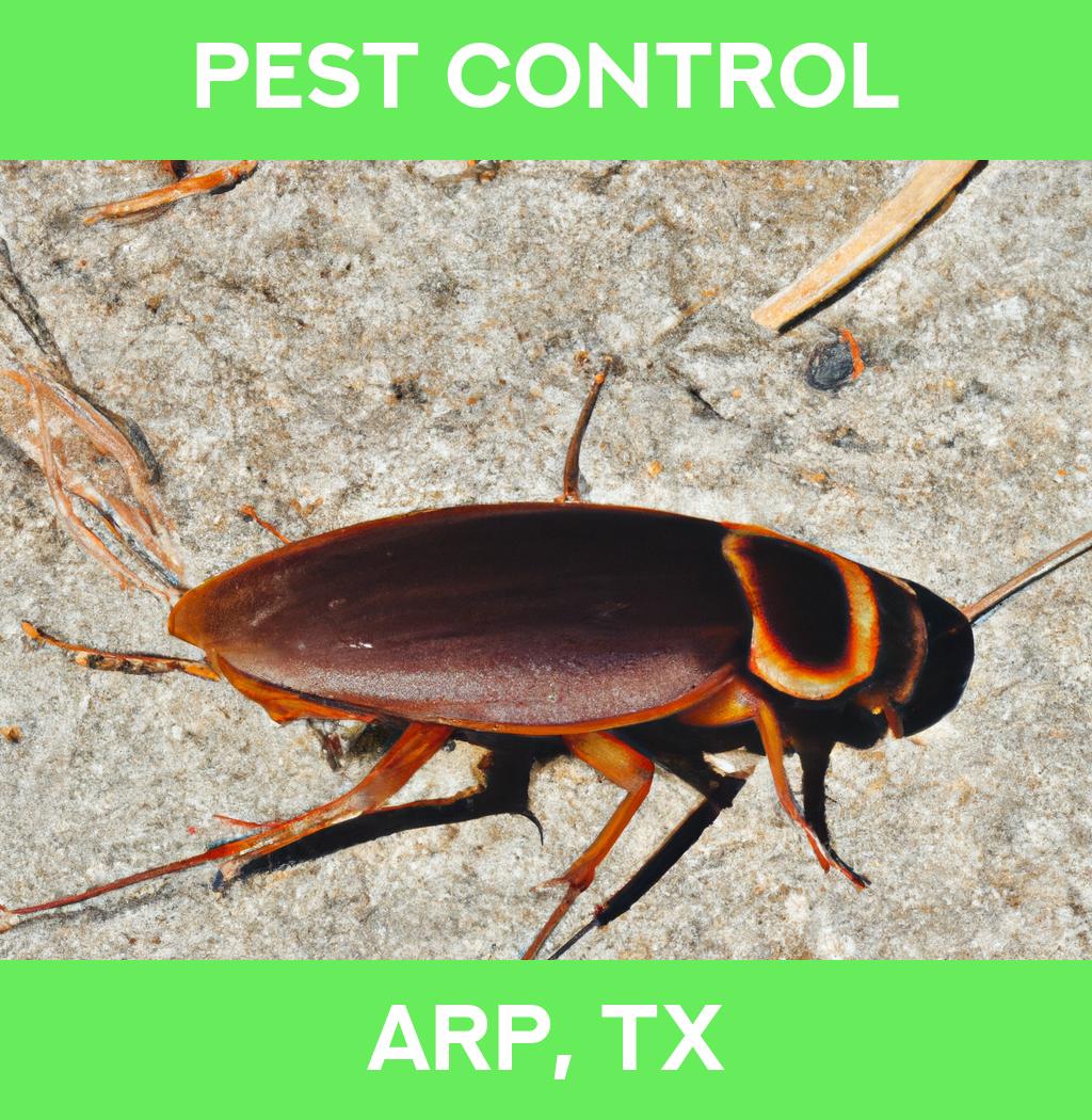 pest control in Arp Texas