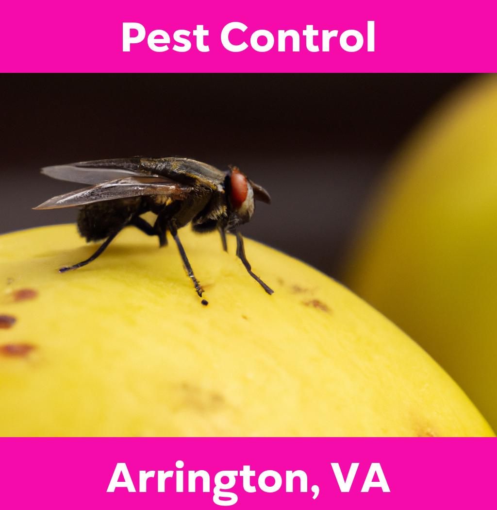pest control in Arrington Virginia