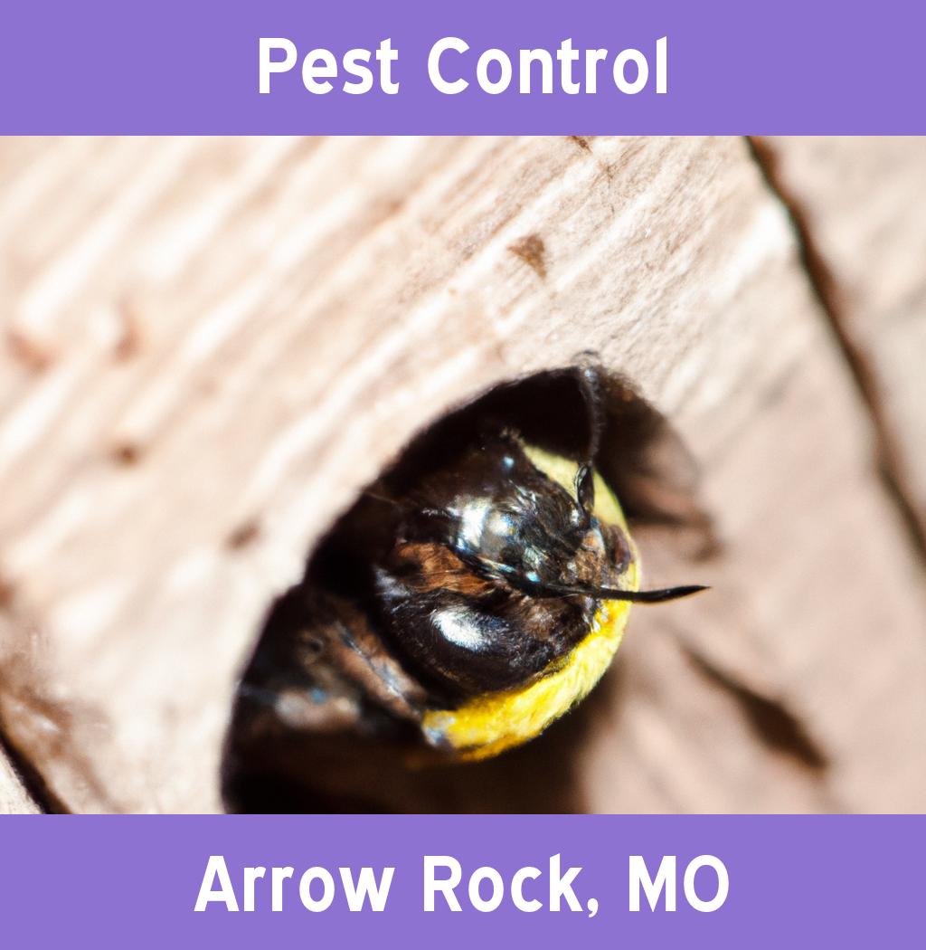 pest control in Arrow Rock Missouri