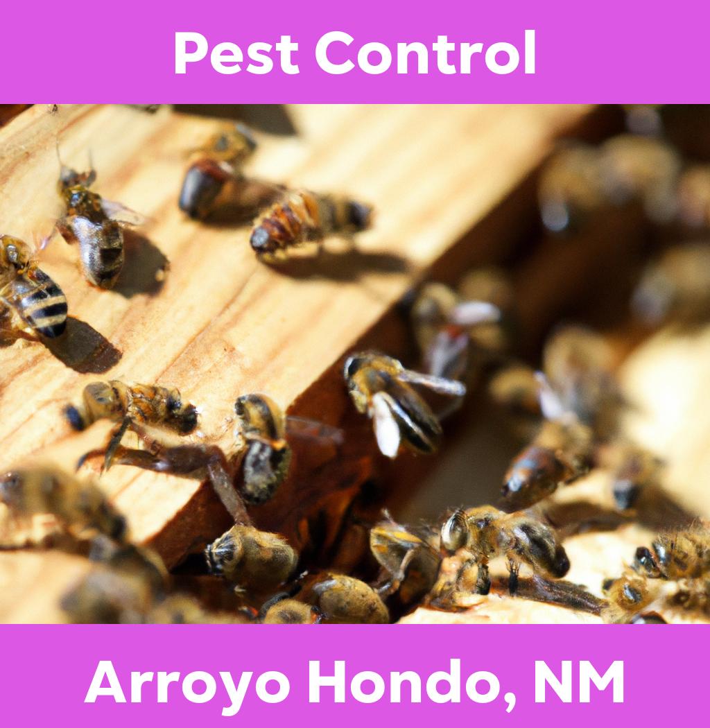 pest control in Arroyo Hondo New Mexico
