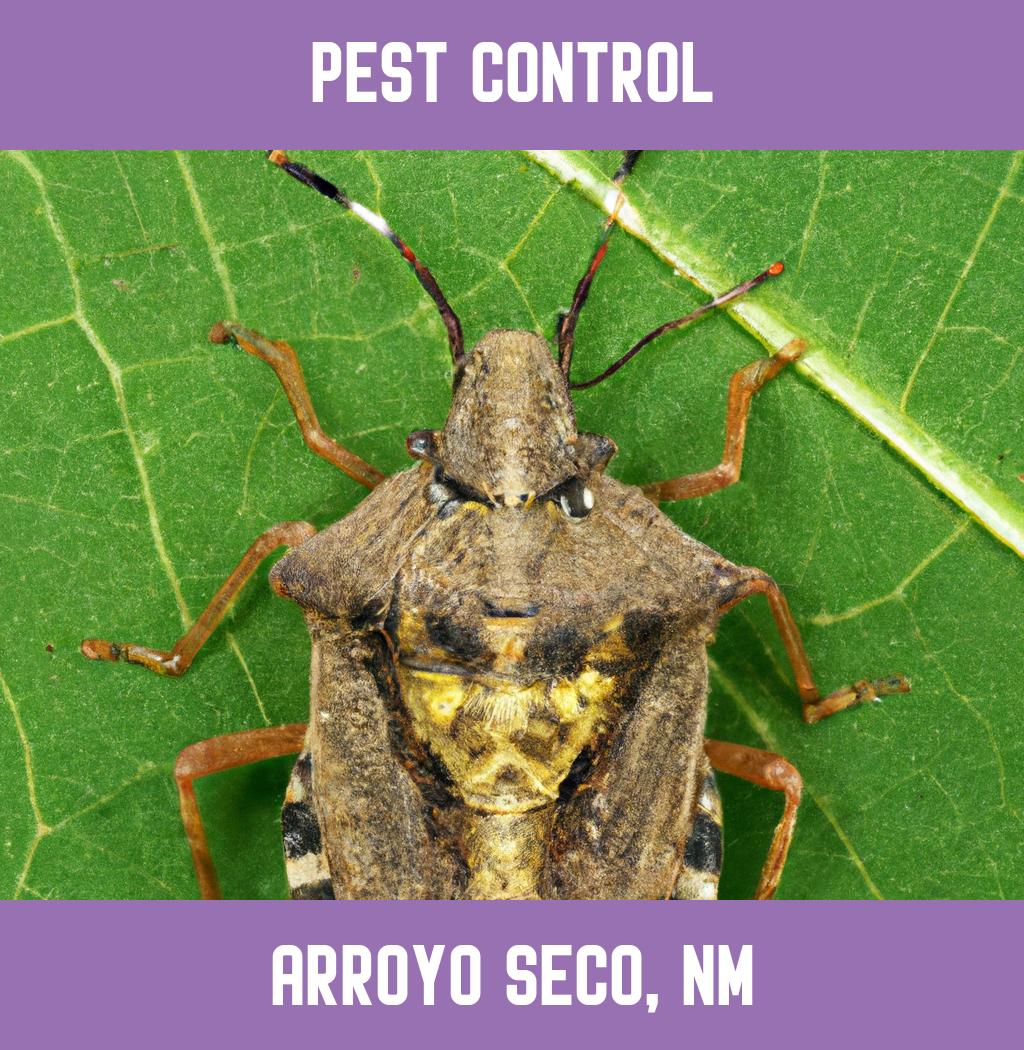 pest control in Arroyo Seco New Mexico