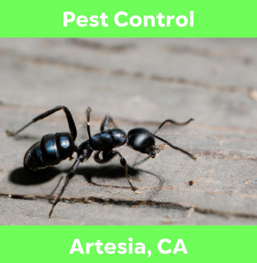 pest control in Artesia California