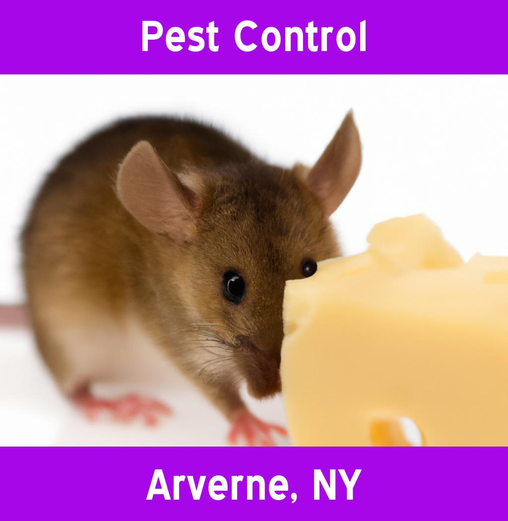 pest control in Arverne New York
