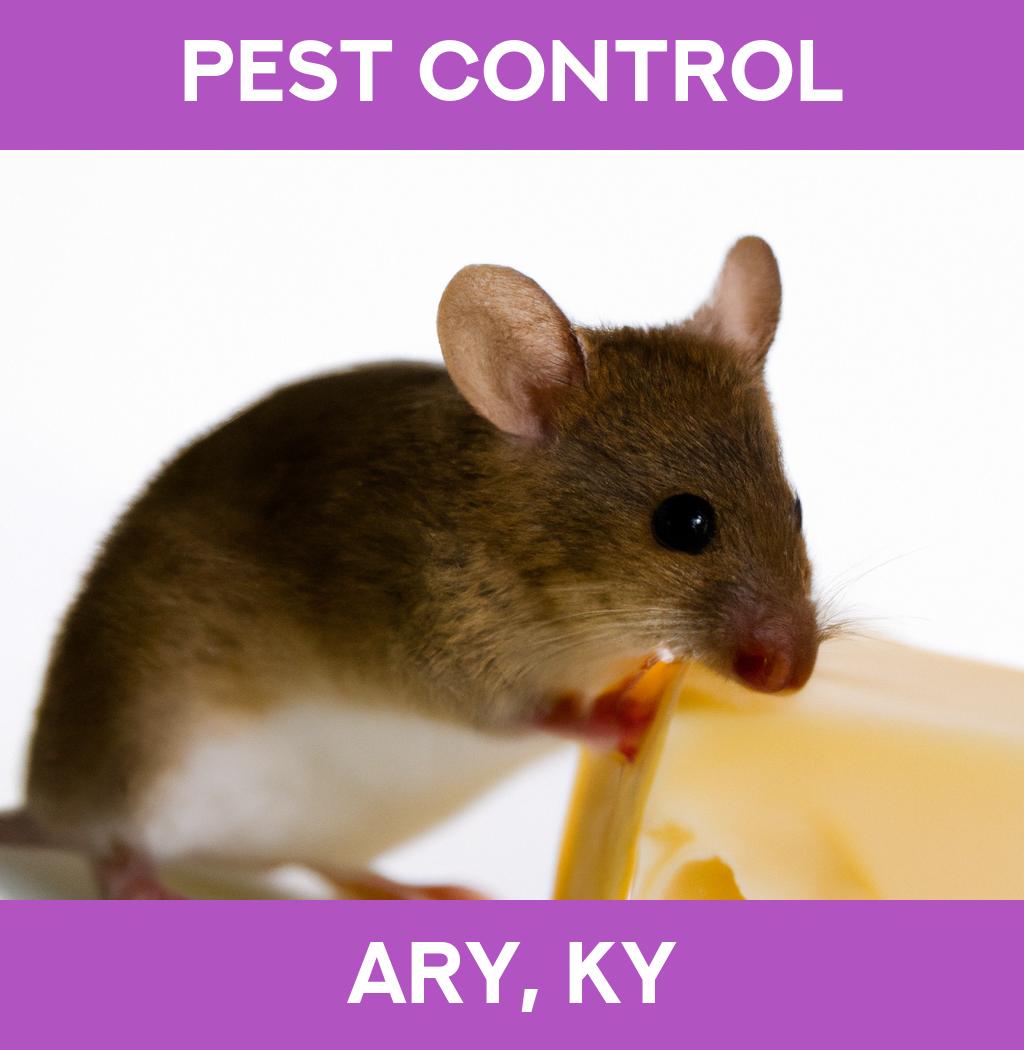 pest control in Ary Kentucky