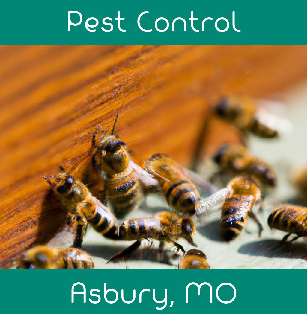 pest control in Asbury Missouri