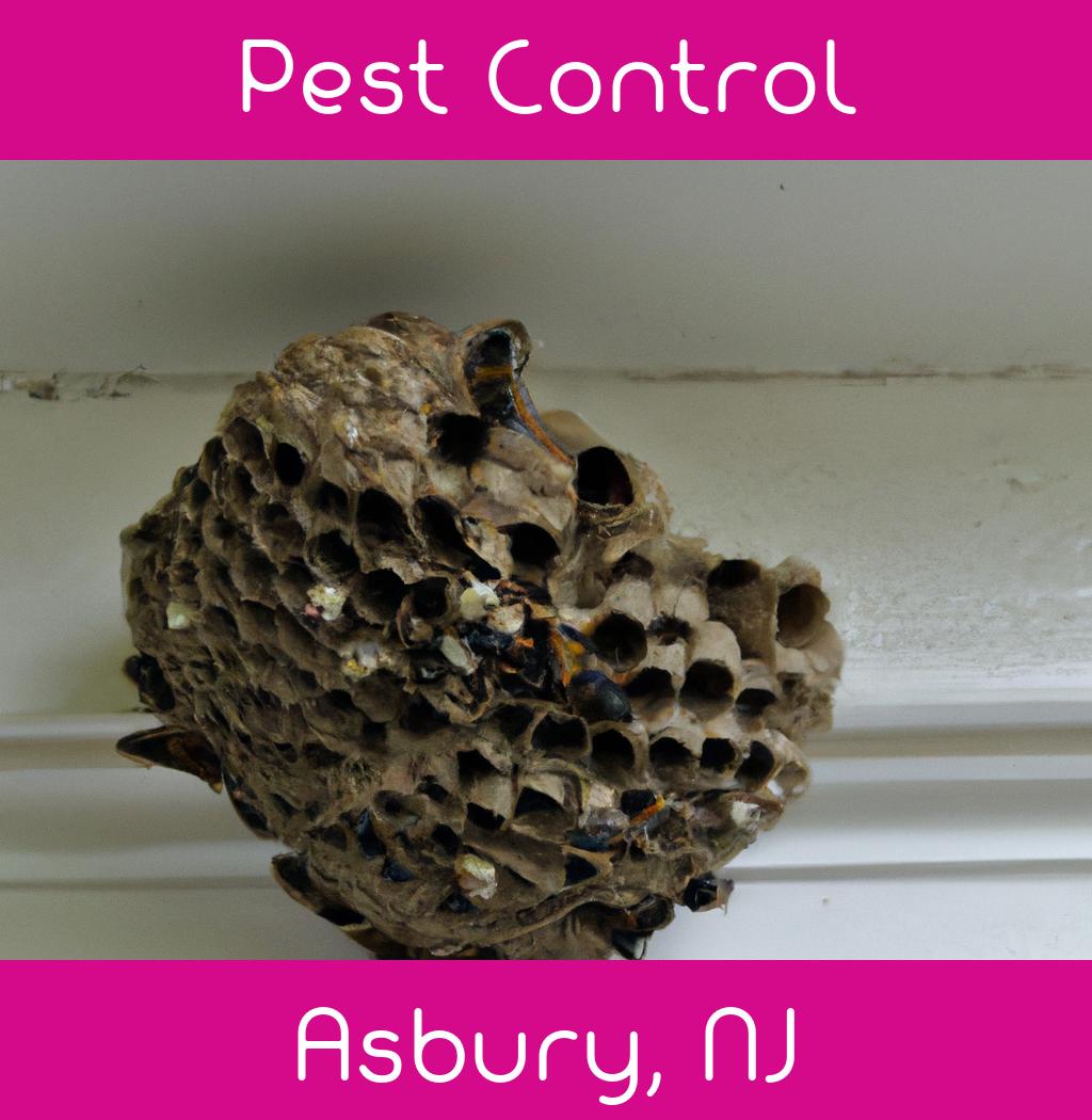 pest control in Asbury New Jersey