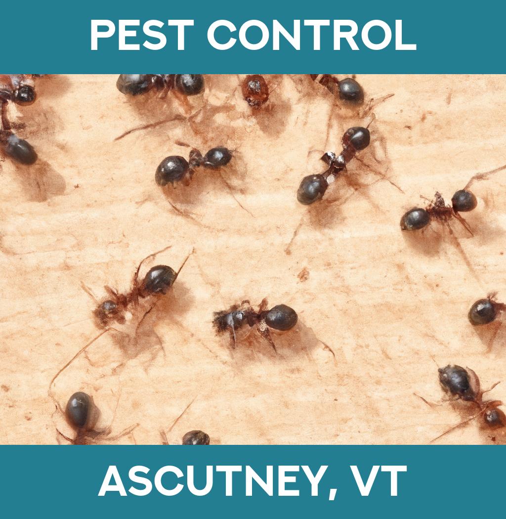 pest control in Ascutney Vermont