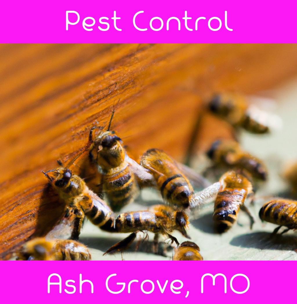 pest control in Ash Grove Missouri