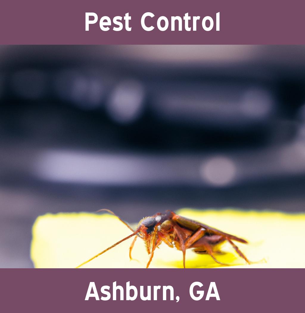 pest control in Ashburn Georgia