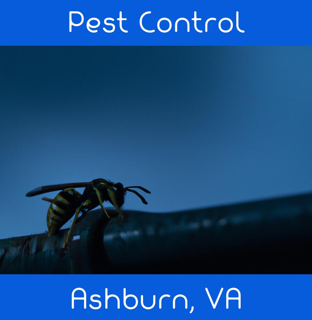 pest control in Ashburn Virginia