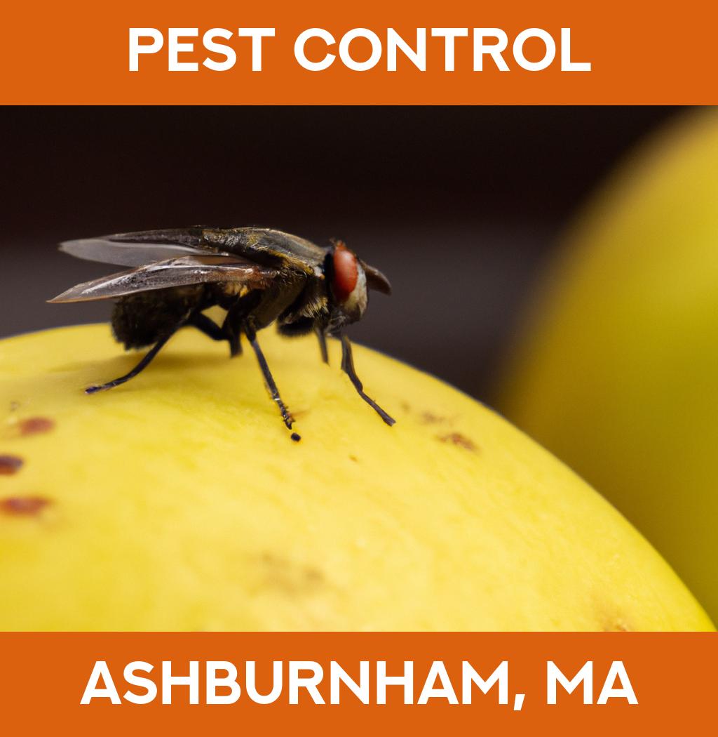 pest control in Ashburnham Massachusetts