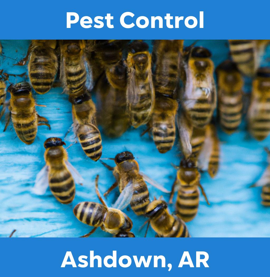 pest control in Ashdown Arkansas