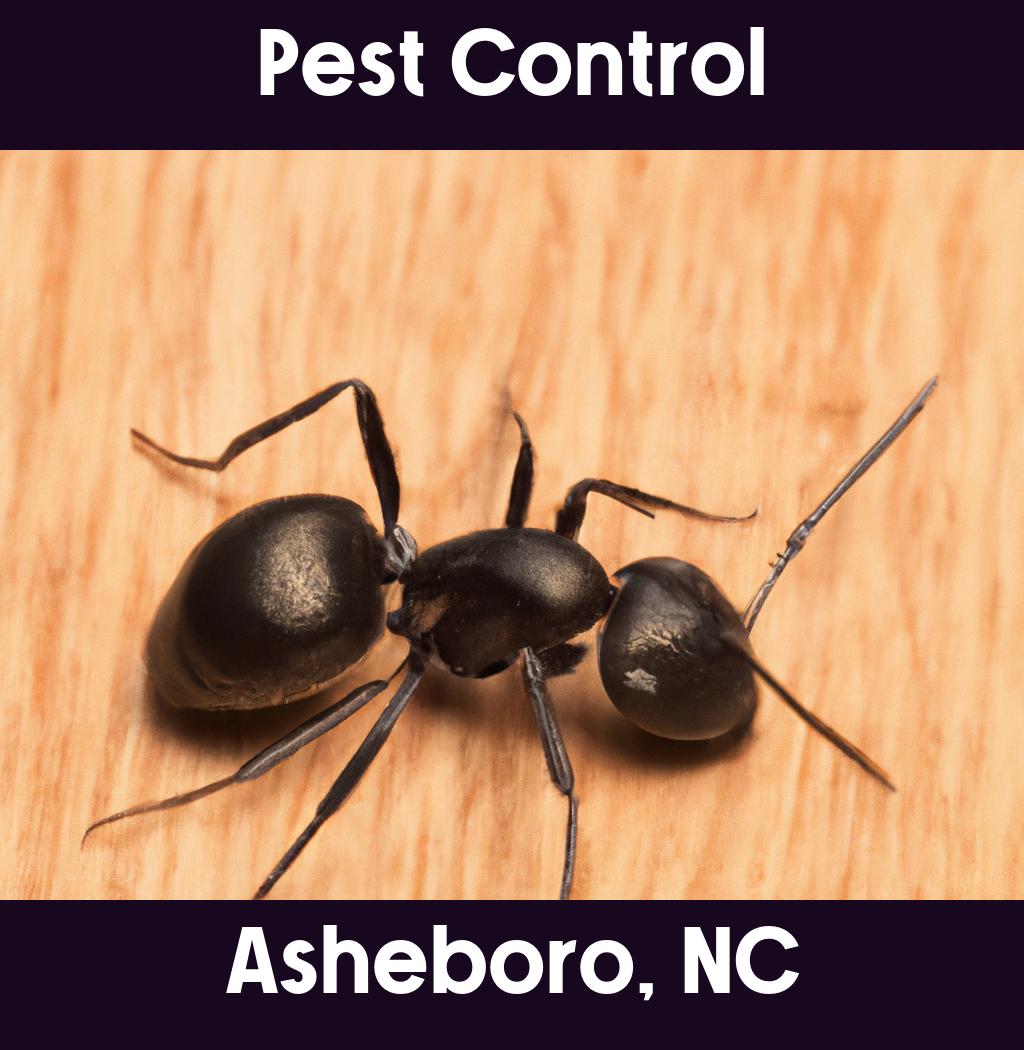 pest control in Asheboro North Carolina