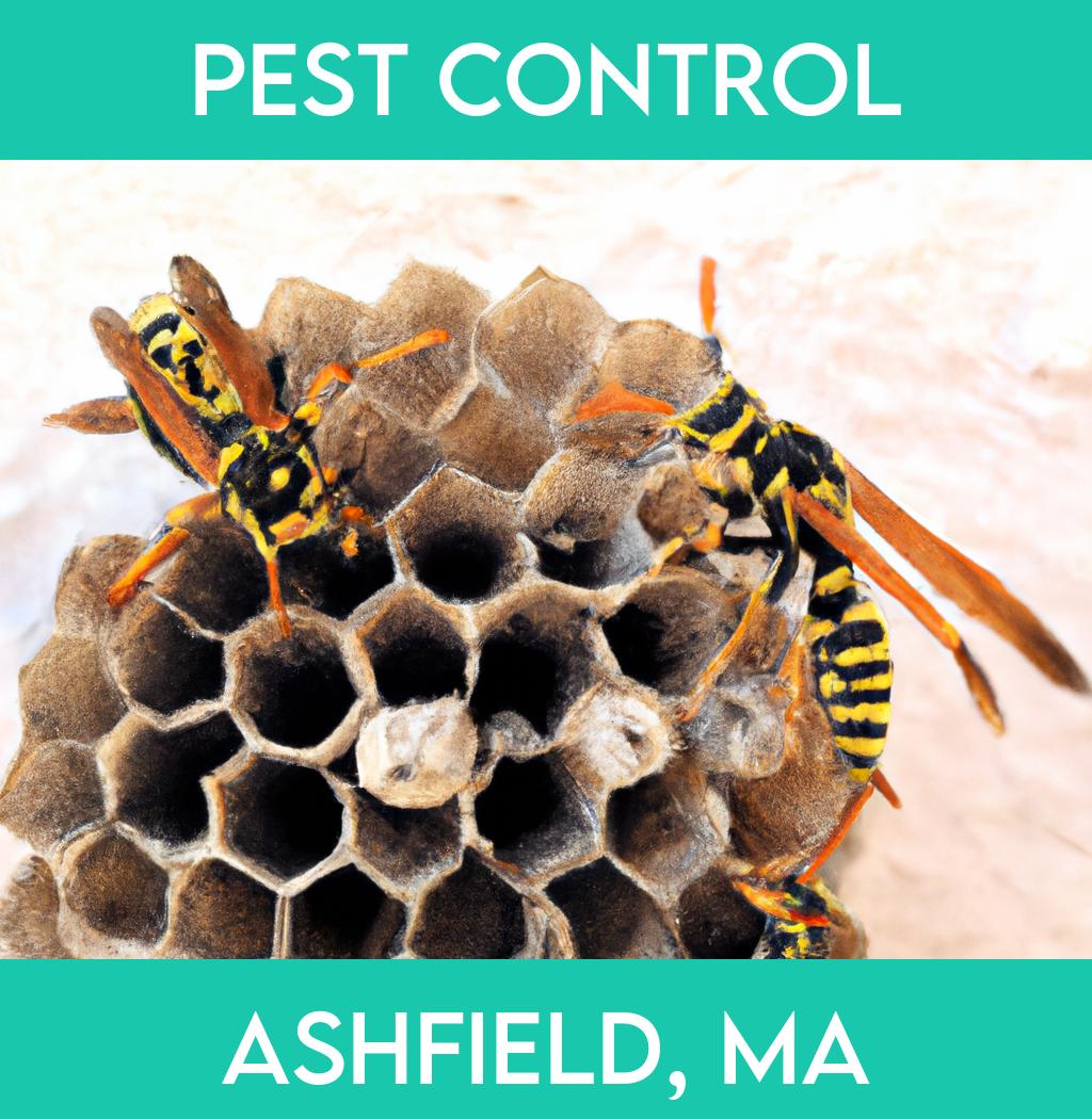 pest control in Ashfield Massachusetts