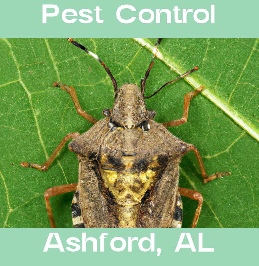 pest control in Ashford Alabama