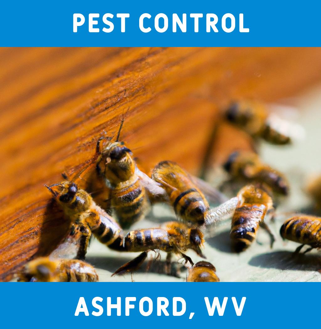 pest control in Ashford West Virginia