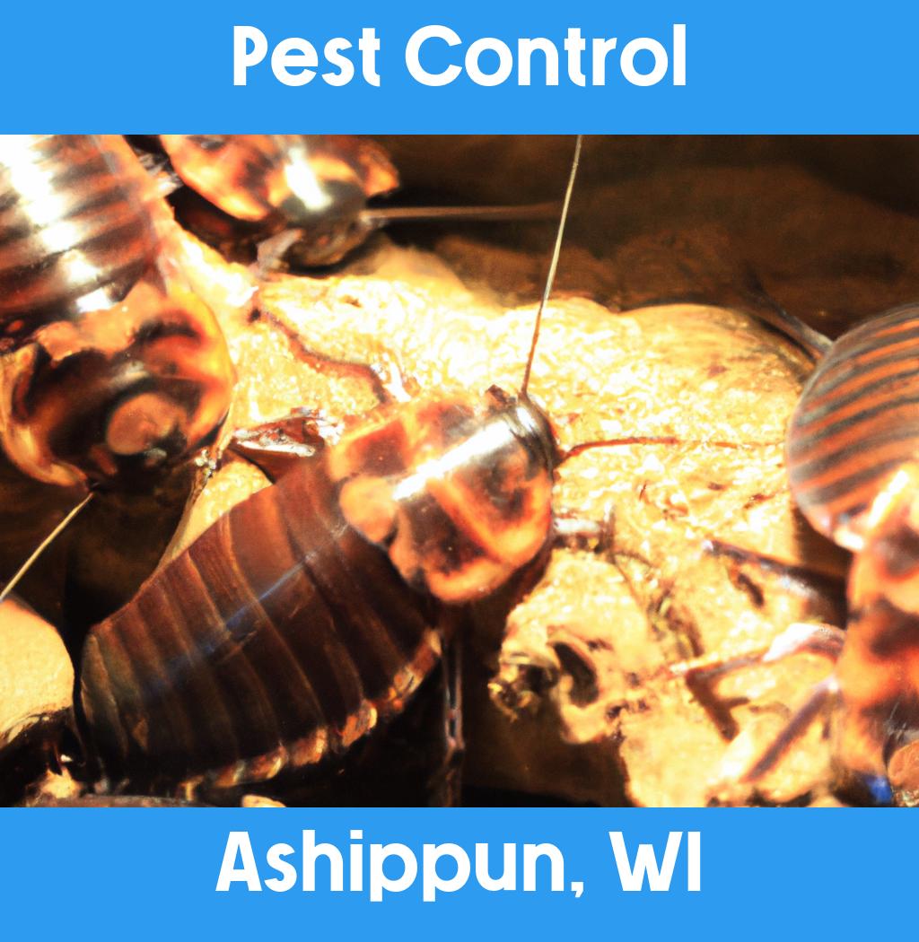pest control in Ashippun Wisconsin