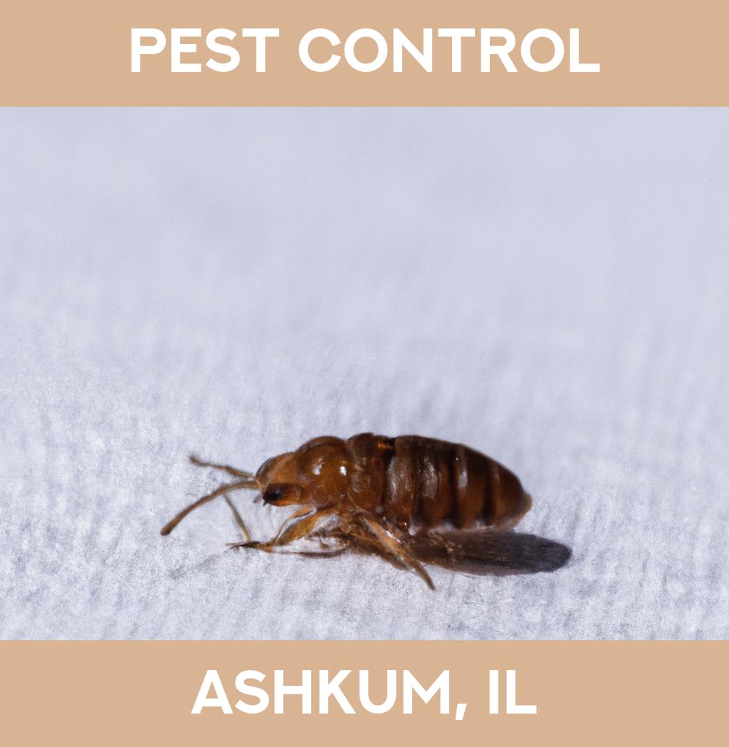 pest control in Ashkum Illinois