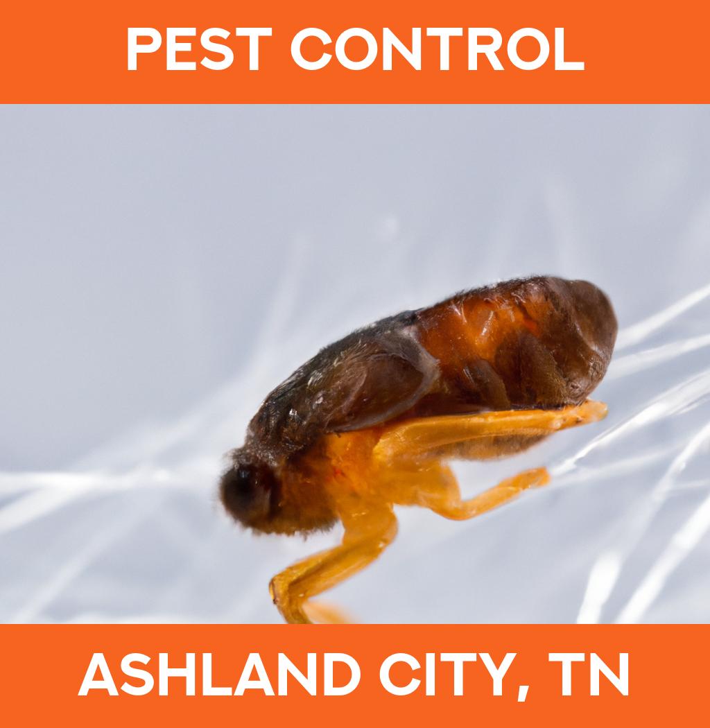 pest control in Ashland City Tennessee