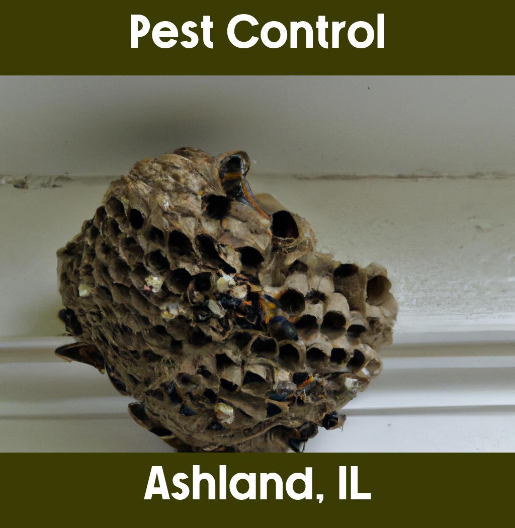 pest control in Ashland Illinois
